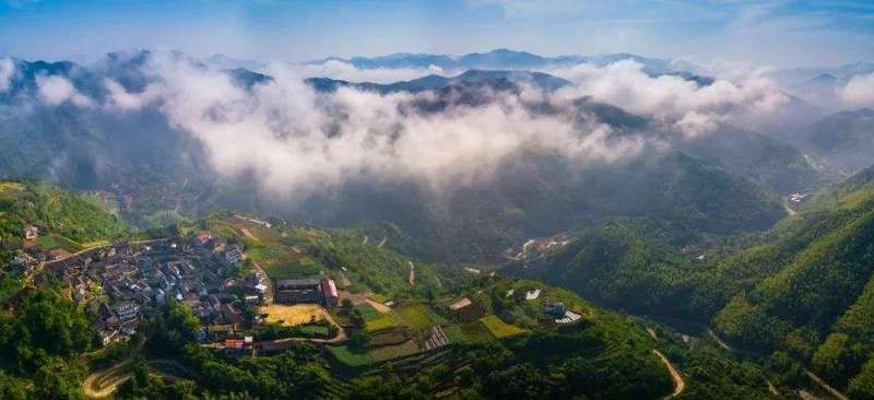 新昌县 小石家土蜂蜜：农家蜂蜜～天然，