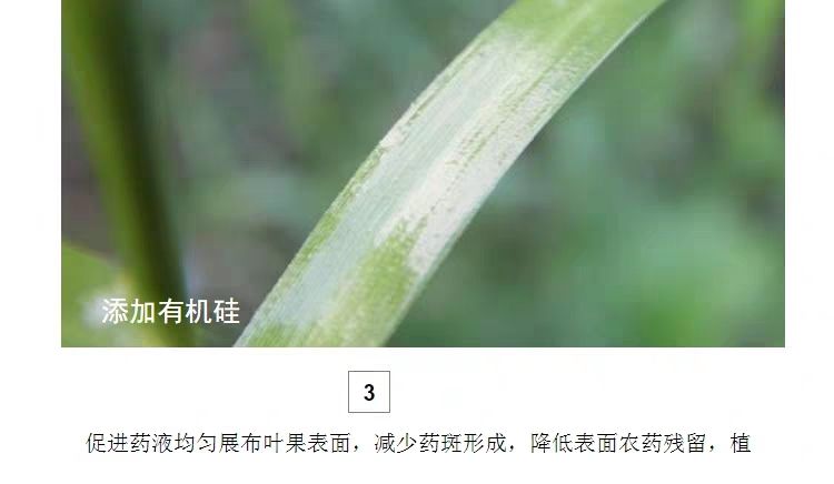 硅肥  农用有机硅助剂农药叶面肥增效剂叶面附着扩展剂渗透剂