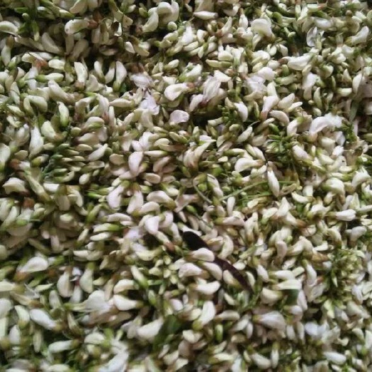 三门峡槐树花 新鲜的槐花，需要的联系我