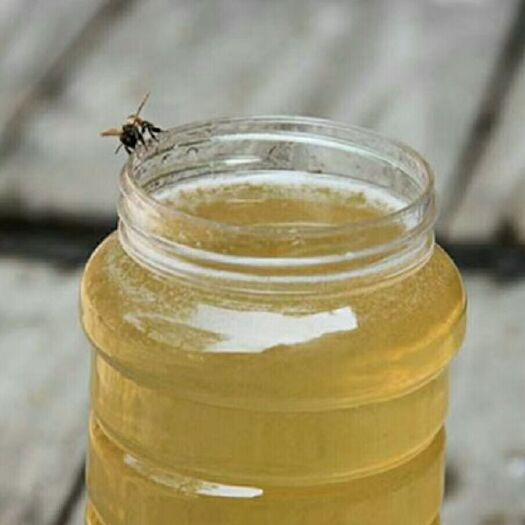 宜兴市槐花蜜 洋愧蜜