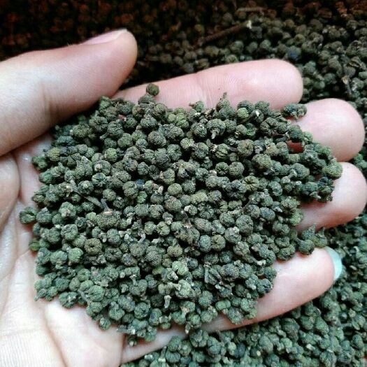 都安县 广西中花吴茱萸