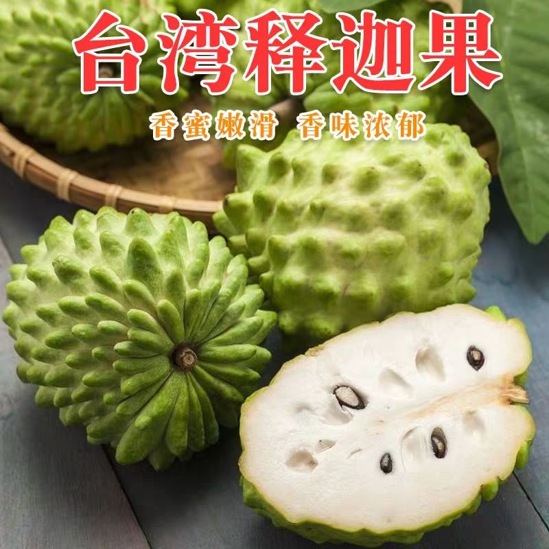 灵山县释迦果苗 歌慕 番荔枝释迦果新鲜水果、 释迦摩尼果佛头果 大