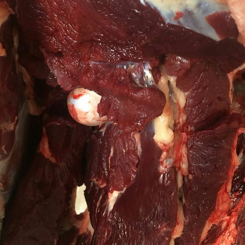  正宗青海牦牛肉 高原放养牦牛肉生鲜食材高品质产地直供顺丰