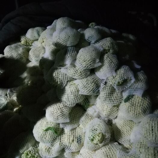 郸城县白花菜花  有机花菜