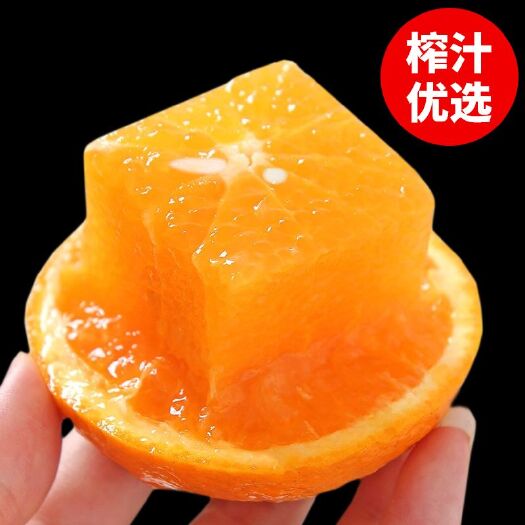 秭归县 【买五送5斤】湖北秭归脐橙丑橙子新鲜水果小夏橙10斤