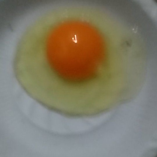 临朐县笨鸡蛋 散装 食用