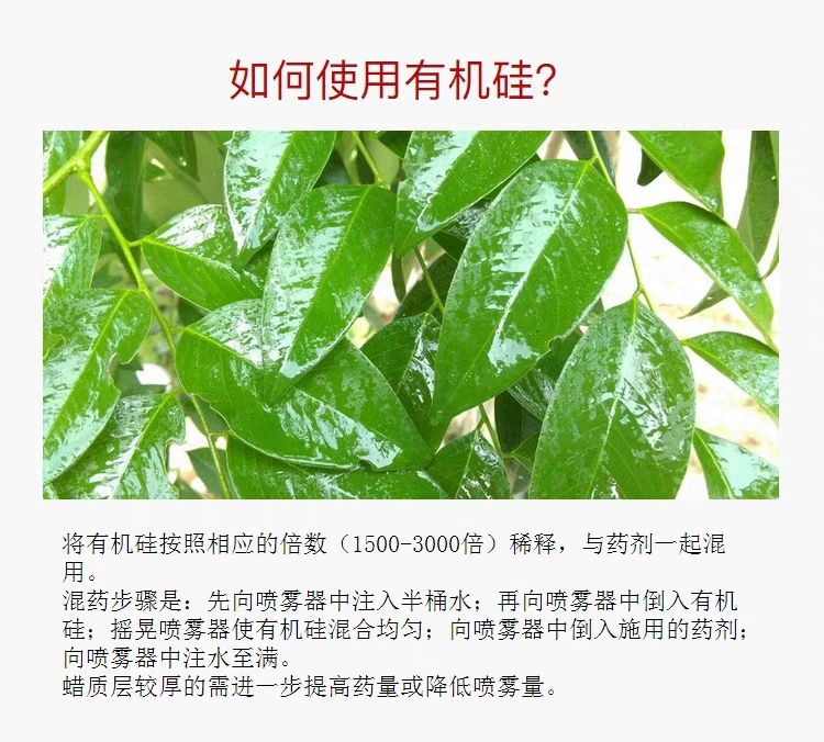 硅肥  农用有机硅助剂农药叶面肥增效剂叶面附着扩展剂渗透剂