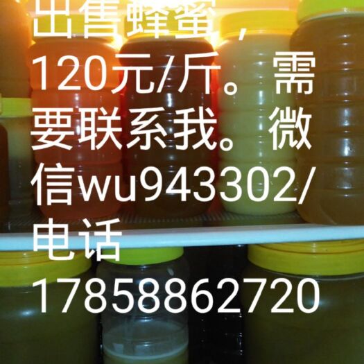 凤凰县 湘西大山野蜂蜜，品质好，纯度高。
