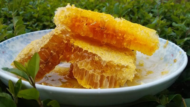 饶平县 野生蜂蜜