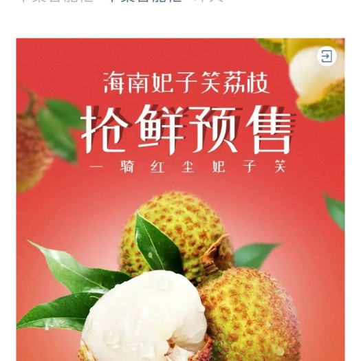 灵山县妃子笑荔枝苗 妃子笑，2－4米高，1－3大