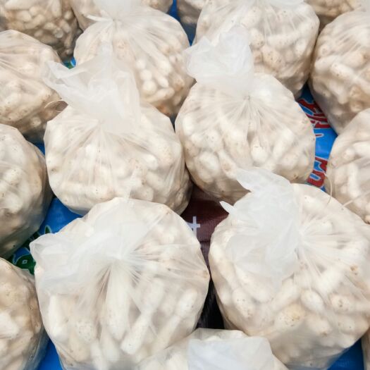 东明县鸡腿菇 人工种植 鲜货