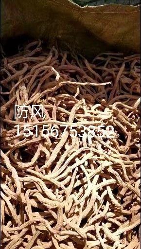 亳州 防风（个子，片子，统货）
