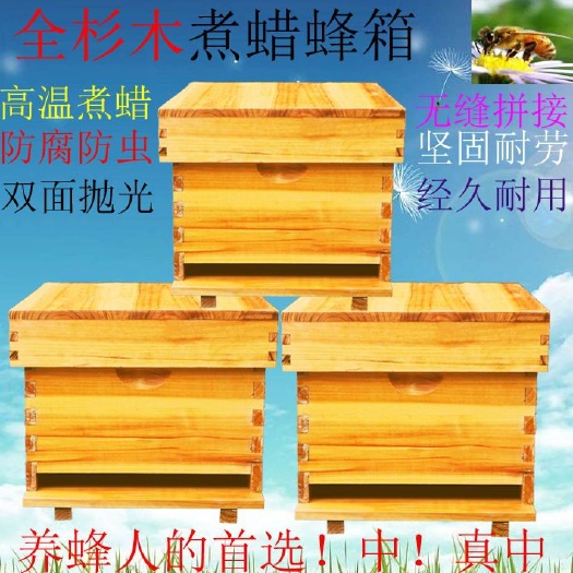 长葛市杉木蜂箱 煮蜡蜜蜂中蜂蜂箱包邮杉木全套意蜂密峰养蜂工具标准十框平箱