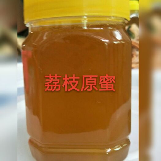 高州市 荔枝蜜