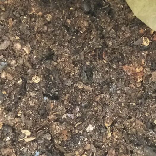 遵义炒辣椒粉 胡辣椒面（粉）虾子本地花皮糊辣椒纯手工柴火炒制