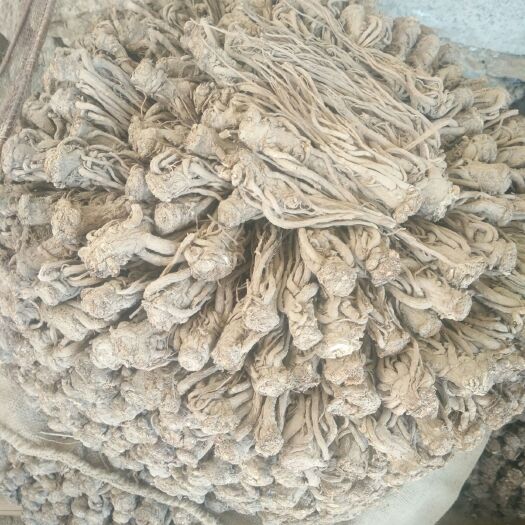 岷县 岷县纯无硫当归，滋补中药材，当归，可切片，打粉