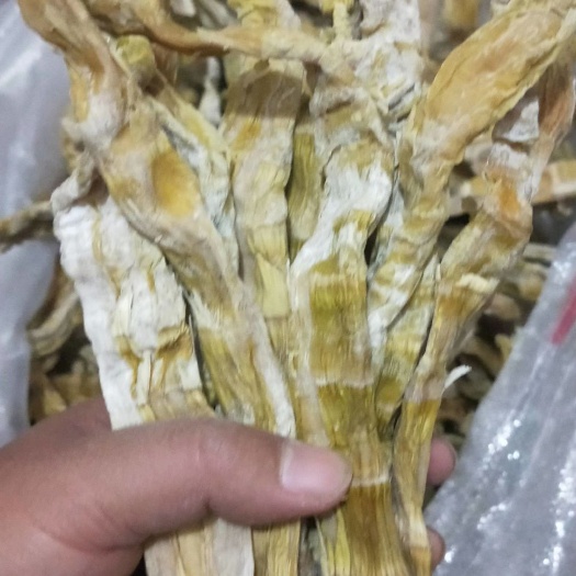 临安笋干小笋干雷笋干天目山笋干毛笋干干笋