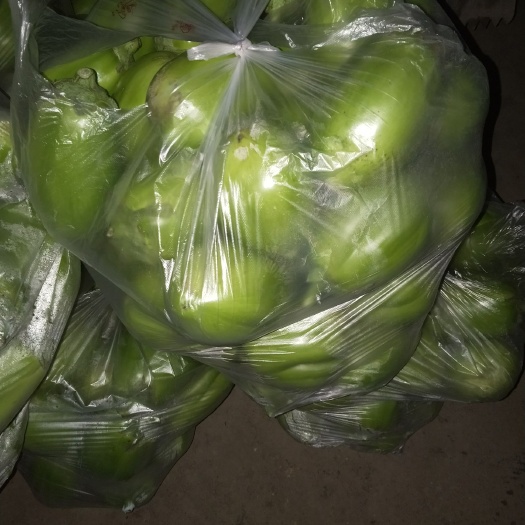 阜阳 青茄，混装通货