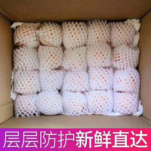 荣县大五星枇杷 土生土长，超级甜，时间不多。