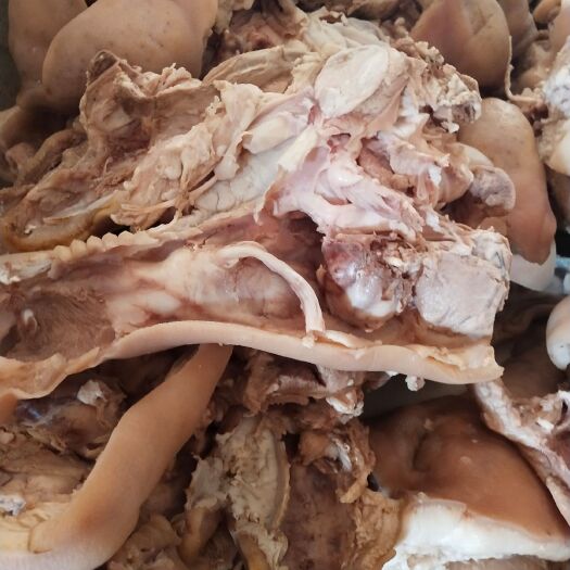 湄潭县猪肉类  新鲜熟猪头