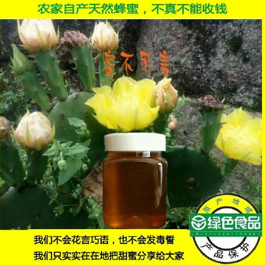 井冈山市土蜂蜜 永隆山放养土蜂野花百花草蜜