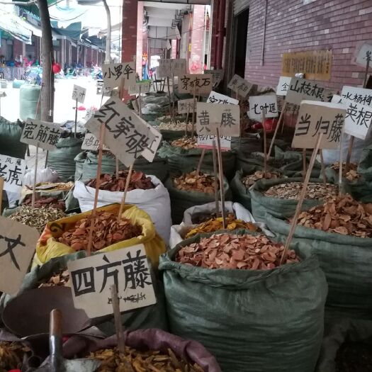 玉林黄花倒水莲  以上品种有货有需要的联系