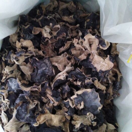 鱼台县毛木耳   精选木耳