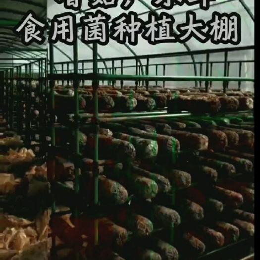 沭阳县 种植大棚香菇，木耳，食用菌包塑管，镀锌钢管可使用15年以上