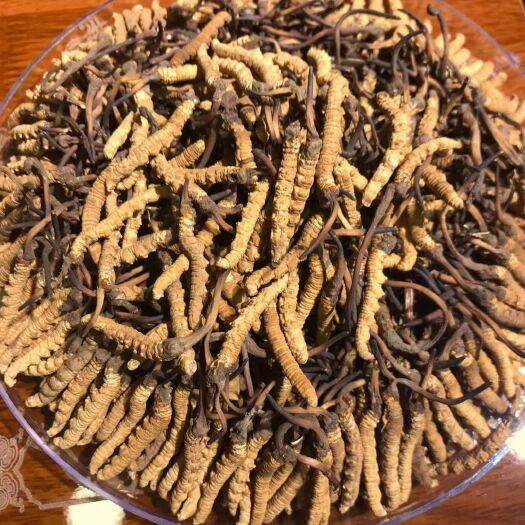 马尔康市 贫困户产品-冬虫夏草 包邮  来自海拔5000米 改善胃口
