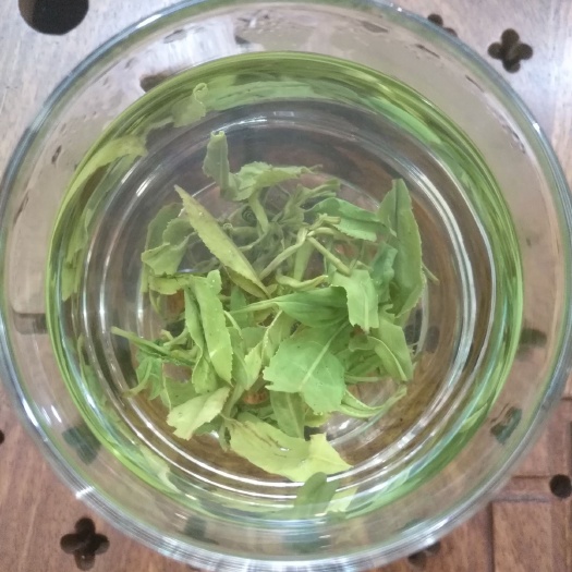 济南绿茶 茶香浓郁 低价格高品质！