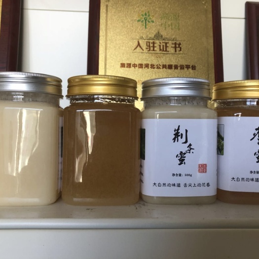 赞皇县 🍯槐花蜂蜜是中国级别最高的出口蜂蜜，以出口日本、韩国、德