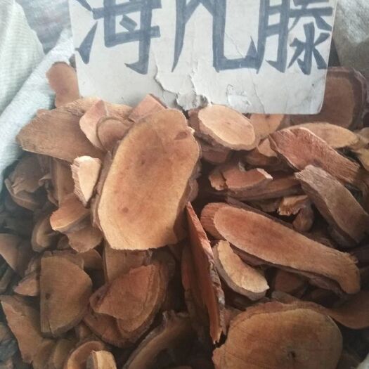 玉林 海风藤