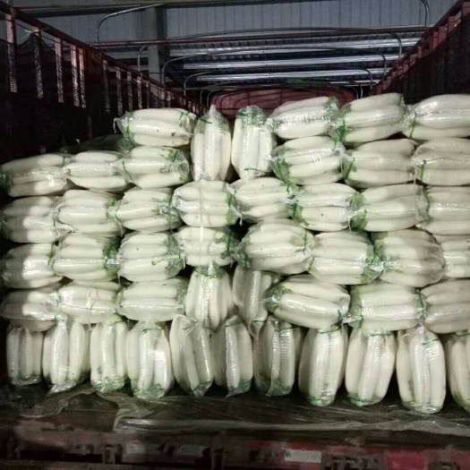 嘉魚(yú)縣白蘿卜質(zhì)量好，大量供應(yīng)中