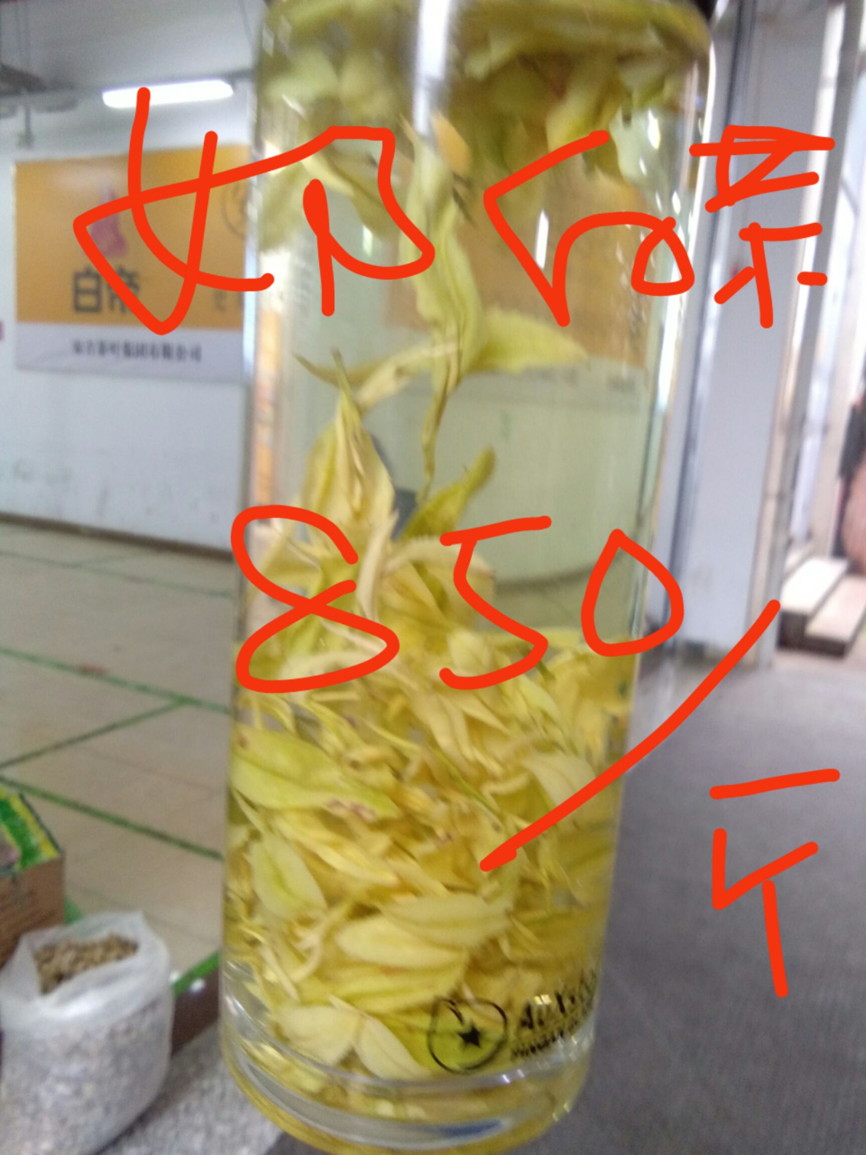安吉白茶 特级 礼盒装
