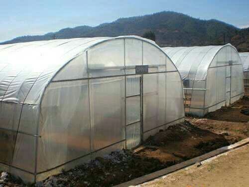 怀远县 养殖大棚连栋猪舍搭建安装镀锌钢管食用菌种植大棚