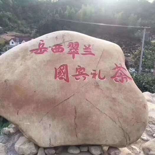 岳西县岳西翠兰 稀如翡翠，品高于兰