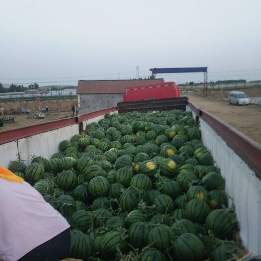 沂水县山东大棚西瓜，大量上市