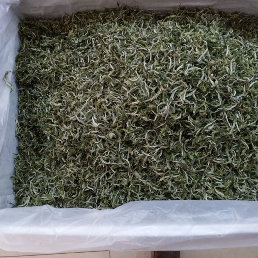 西宁云南绿茶 一级 袋装 