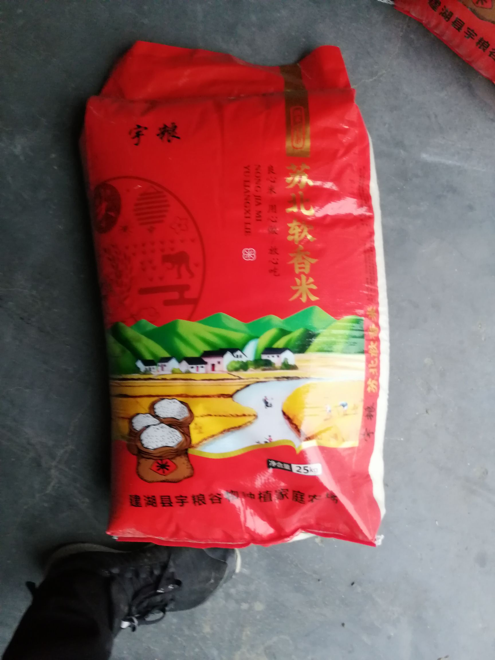 苏北大米 一等品 晚稻 粳米