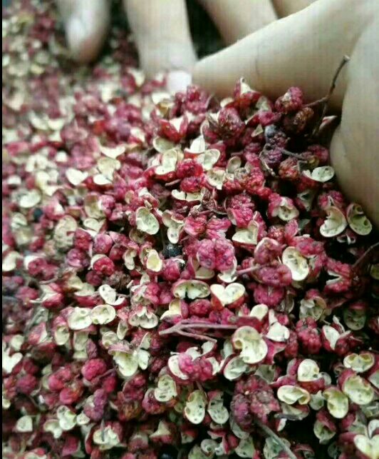  陇南花椒  特级  干花椒     甘肃武都