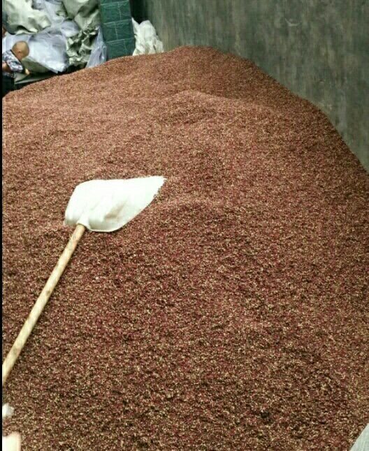  陇南花椒  特级  干花椒     甘肃武都
