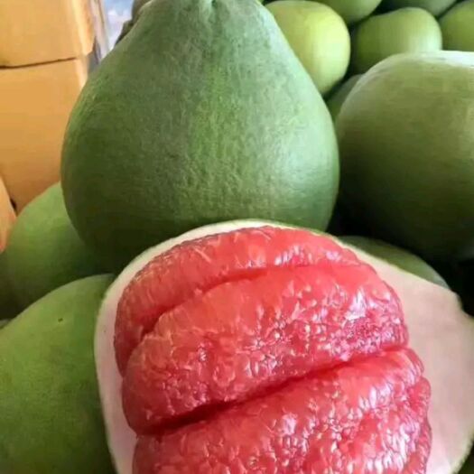 灵山县泰国青柚苗 泰国的青皮红心柚