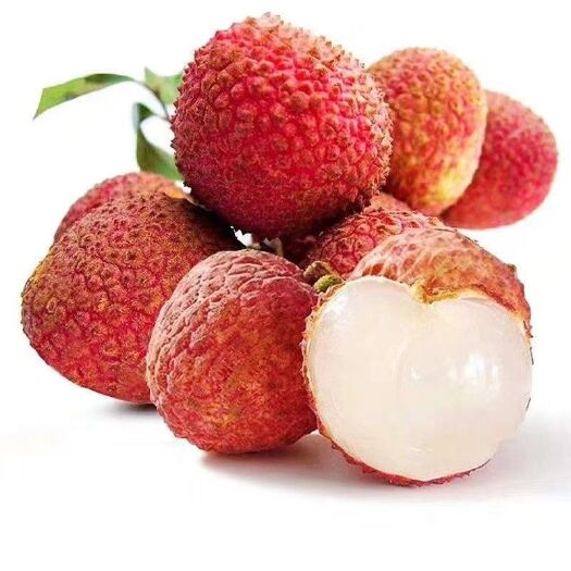 灵山县桂味荔枝苗