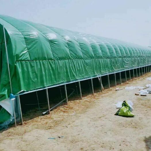 沭阳县养殖大棚 养殖棚，各种养殖，种植暖棚，需要搭建暖棚的客户看过来。