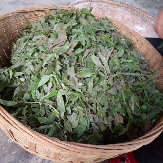 会东县老鹰茶 一级 盒装