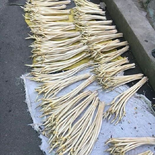 汉川市 新鲜藕带