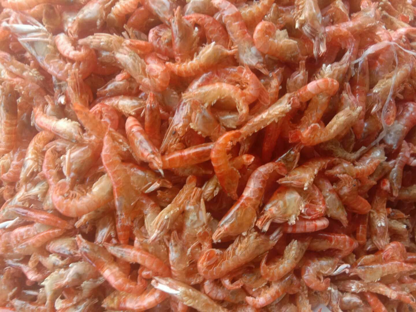 赣州青虾  红虾干，虾干，爪虾干 ，筷子头大小。