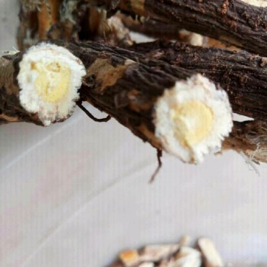 紅芪 原條產(chǎn)地直銷(xiāo)批發(fā)零售