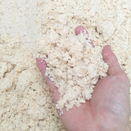 肇庆 大量出售新鲜黄豆渣