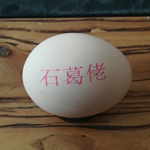 临城县土鸡蛋 石葛佬土特产